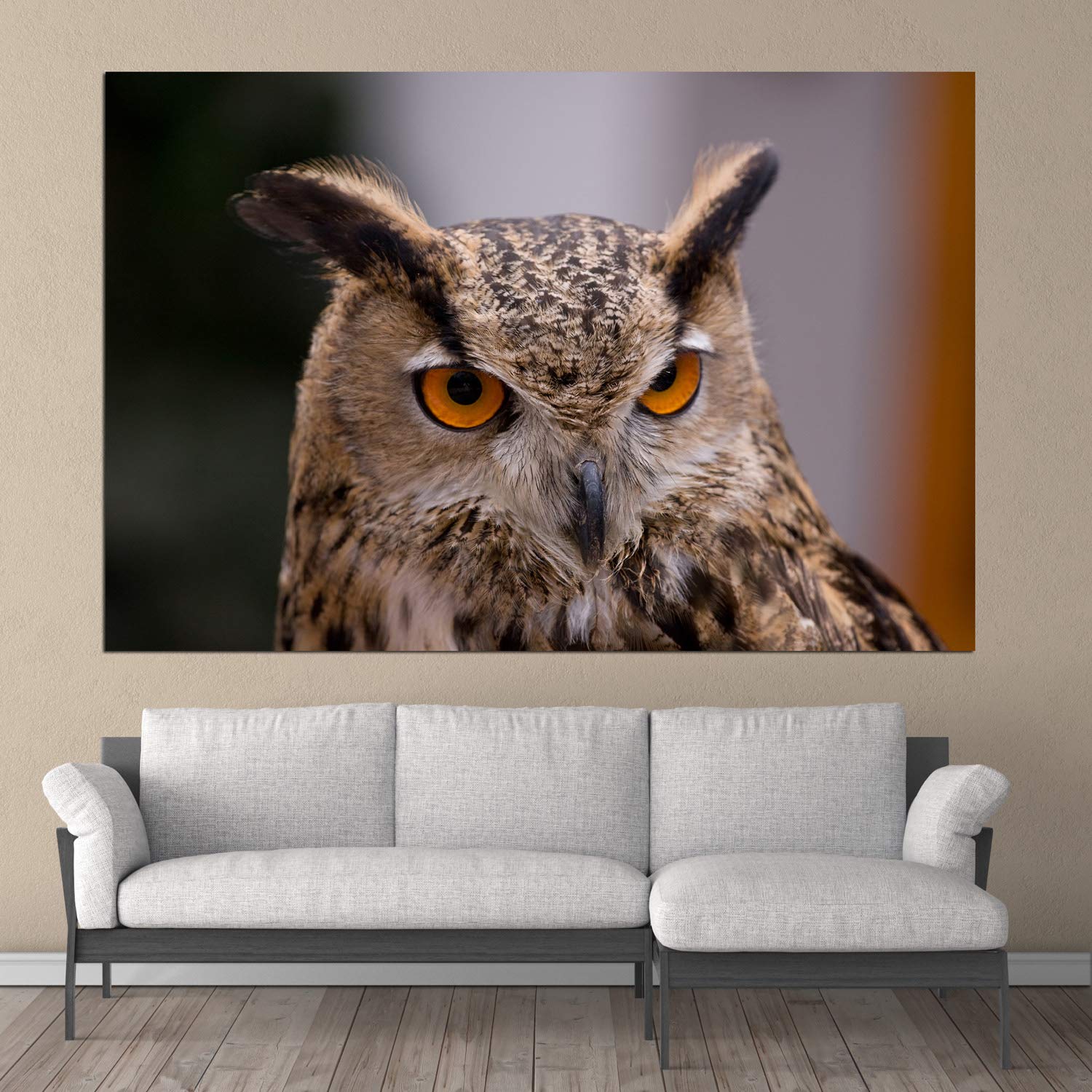 Hoot's Looking at You? Unframed Owl Eye Wall Art (91x61cm)